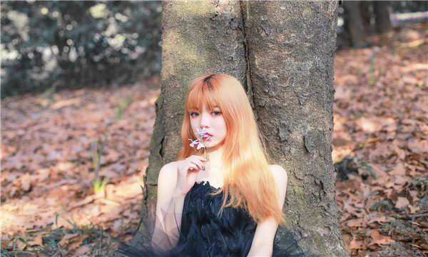 花垣供卵代怀助孕，帮助不孕不育家庭实现圆梦之旅
